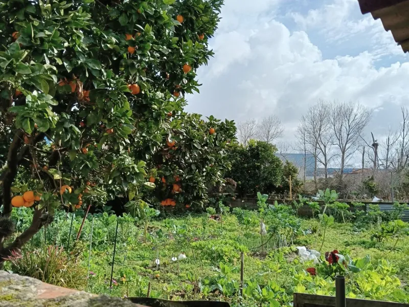 Terreno Construção Moradia Cacia