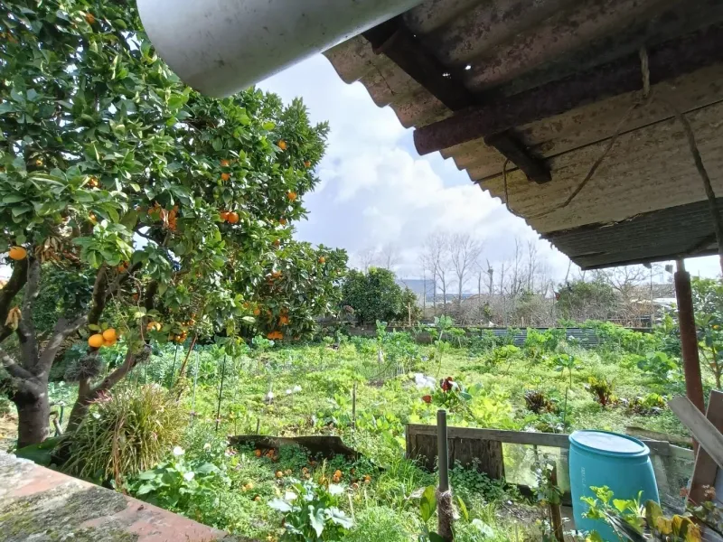 Terreno Construção Moradia Cacia