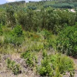 Terreno em Portela do Fojo-Machio 5