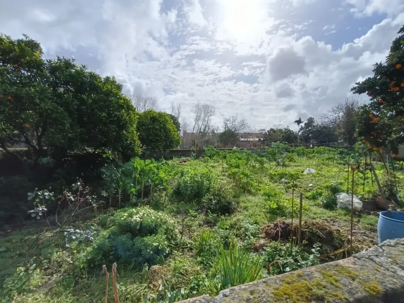 Terreno Construção Moradia Cacia