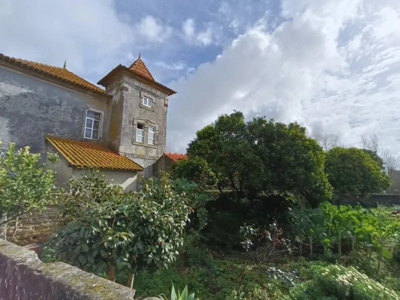 Terreno Construção Moradia Cacia