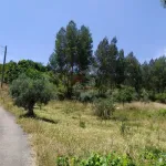 Terreno em Portela do Fojo-Machio 9