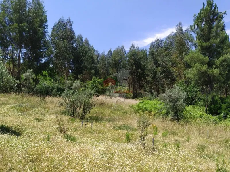 Terreno em Portela do Fojo-Machio