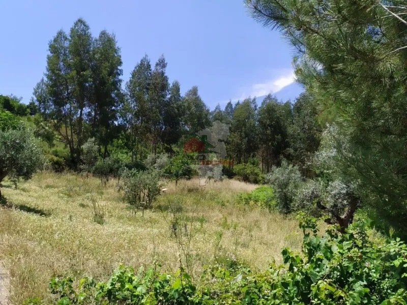 Terreno em Portela do Fojo-Machio