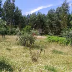 Terreno em Portela do Fojo-Machio 12