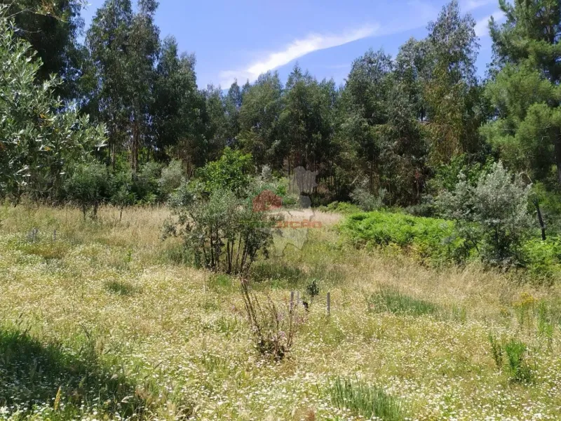 Terreno em Portela do Fojo-Machio