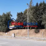 Terreno para Construção em altura na Lixa 6