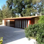 Quinta c/ casa Habitação em Sarzedo (cerca 6 mil m2) 7