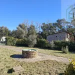 Quinta c/ casa Habitação em Sarzedo (cerca 6 mil m2) 10