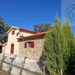 Quinta c/ casa Habitação em Sarzedo (cerca 6 mil m2) 11