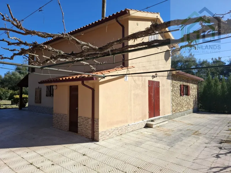 Quinta c/ casa Habitação em Sarzedo (cerca 6 mil m2)