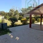 Quinta c/ casa Habitação em Sarzedo (cerca 6 mil m2) 15