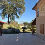 Quinta c/ casa Habitação em Sarzedo (cerca 6 mil m2) 16