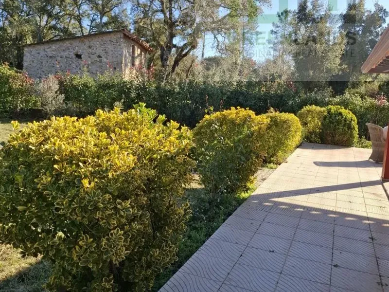 Quinta c/ casa Habitação em Sarzedo (cerca 6 mil m2)