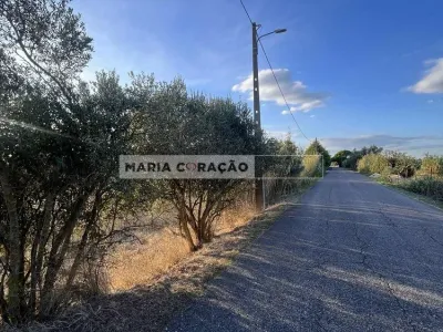 Terreno Rustico 1.440m2