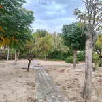 Parcela a 2,5 km de Albacete 16