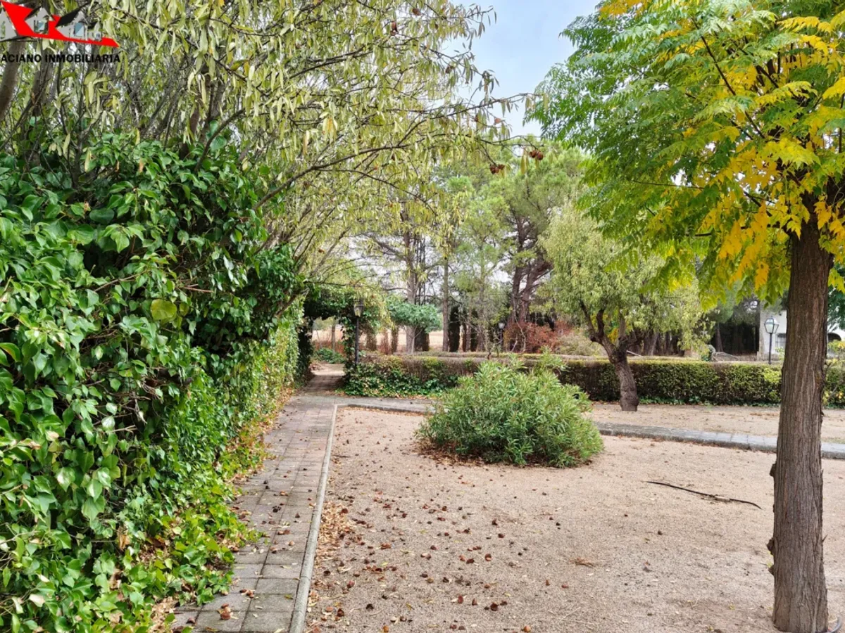 Parcela a 2,5 km de Albacete