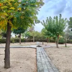 Parcela a 2,5 km de Albacete 20