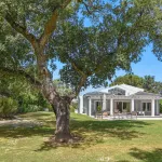 Wonderful … … … 1