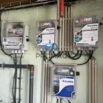 Terreno de Produção de Mirtilos 3