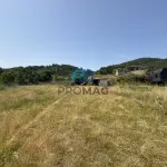 Terreno de Produção de Mirtilos 5