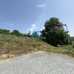 Terreno de Produção de Mirtilos 6