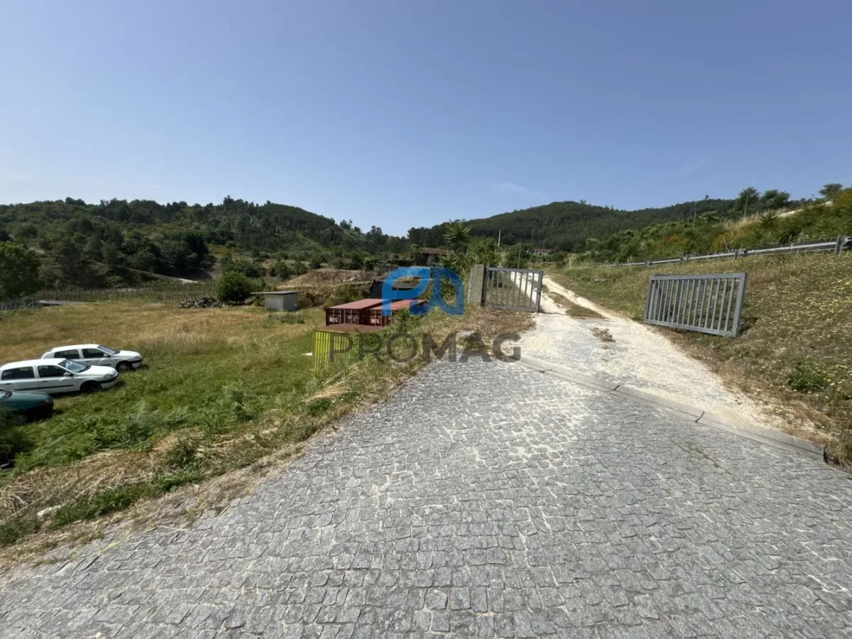 Terreno de Produção de Mirtilos