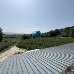 Terreno de Produção de Mirtilos 9