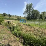 Terreno de Produção de Mirtilos 12