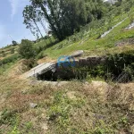 Terreno de Produção de Mirtilos 13