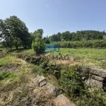 Terreno de Produção de Mirtilos 15