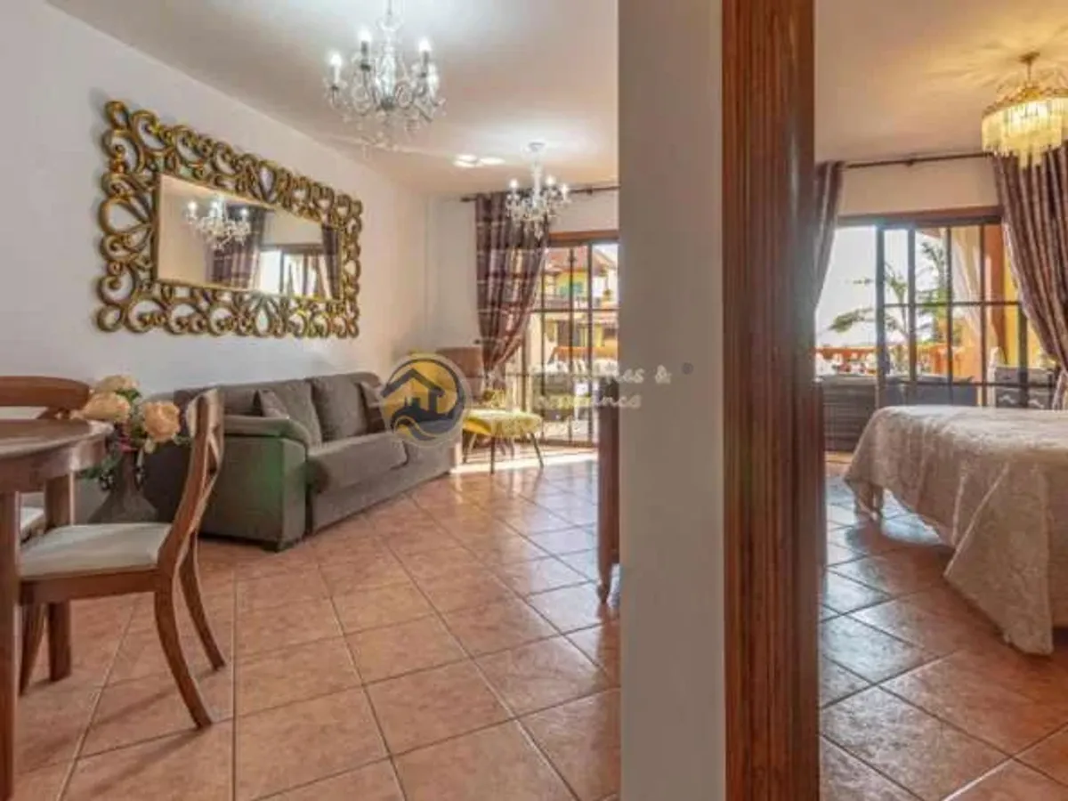 1 bedroom apartment in El Duque