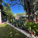 La Casa Perfecta para una vida plena con Jardín de Ensueño 9