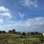 MORADIA TÉRREA E PALHEIRO COM TERRENO NA RAPOSEIRA-MADEIRA PARA RECUPERAR 1