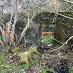 MORADIA TÉRREA E PALHEIRO COM TERRENO NA RAPOSEIRA-MADEIRA PARA RECUPERAR 5