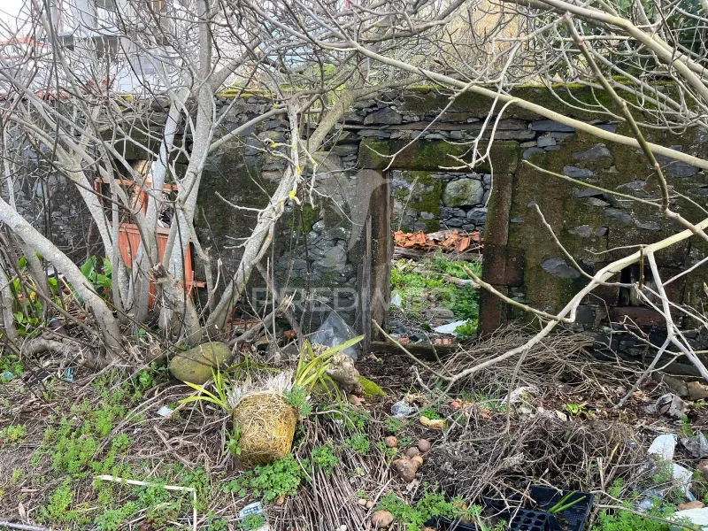 MORADIA TÉRREA E PALHEIRO COM TERRENO NA RAPOSEIRA-MADEIRA PARA RECUPERAR