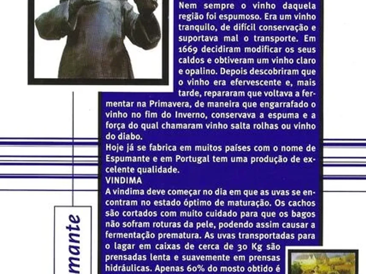 Manual de bolso dos produtos da marca Seagram 