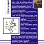 Manual de bolso dos produtos da marca Seagram  9