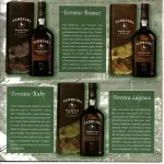 Brochura Porto Ferreira  6