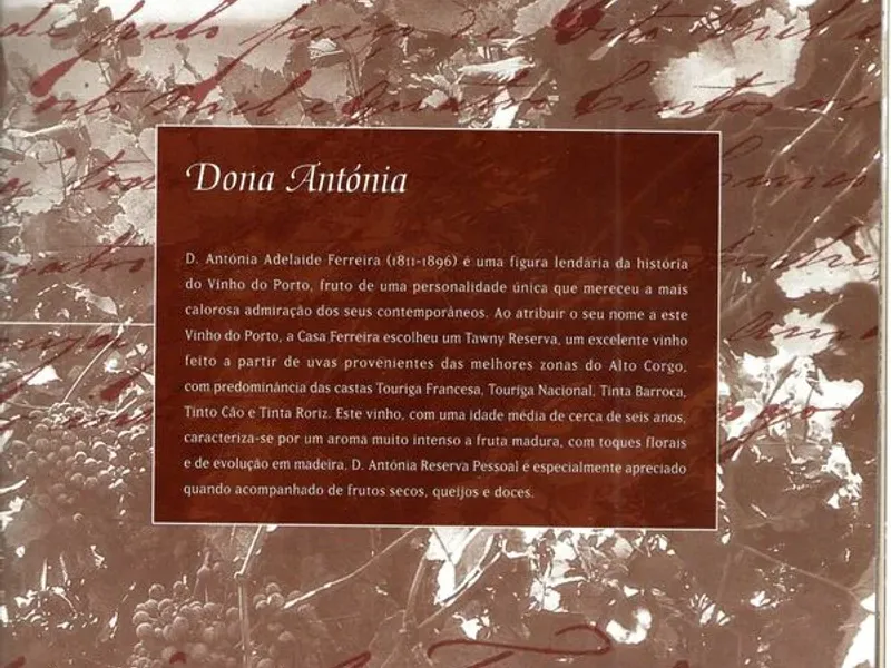 Brochura Porto Ferreira 