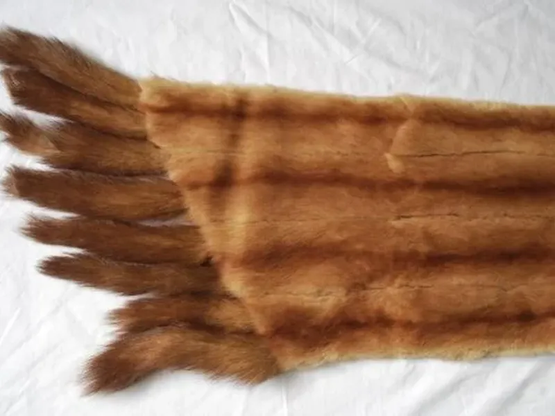 Estola em pele verdadeira 