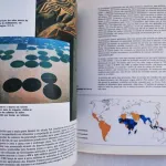 A Aventura Humana  4