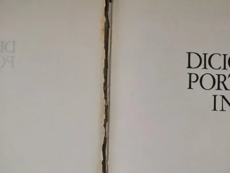 Dicionários de Português / Português-Inglês 