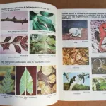 Ciencias Biologicas - De las Moléculas al Hombre 5