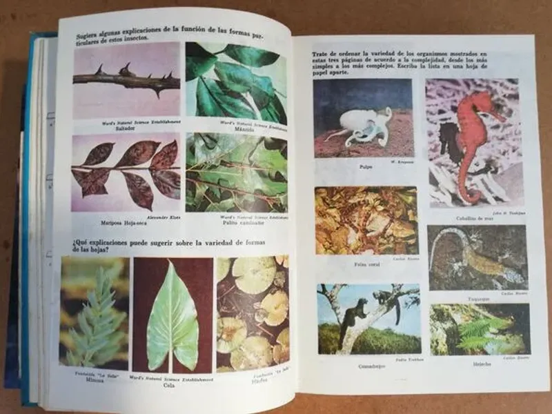 Ciencias Biologicas - De las Moléculas al Hombre