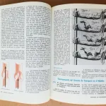 Ciencias Biologicas - De las Moléculas al Hombre 7