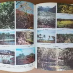 Ciencias Biologicas - De las Moléculas al Hombre 8