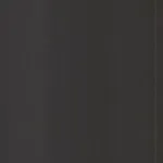 Ludwing van Beethoven – Festa da Música 2005 2