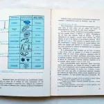 As origens da vida  3