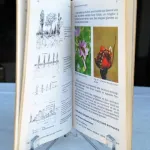 Je fais mon education ecologique  3